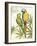 Birds of a Feather III Crop-Avery Tillmon-Framed Art Print