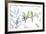 Birds Of A Feather-Sandra Jacobs-Framed Giclee Print