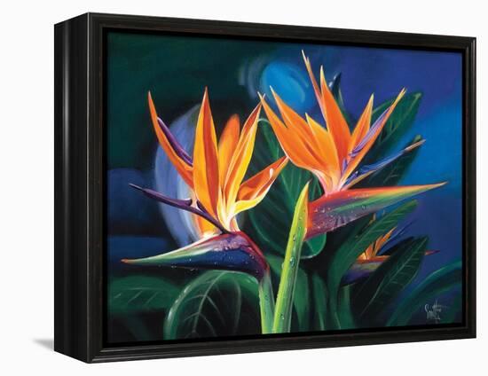 Birds of Feather-Scott Westmoreland-Framed Stretched Canvas