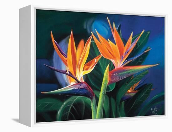 Birds of Feather-Scott Westmoreland-Framed Stretched Canvas