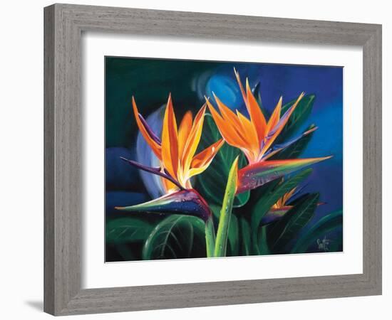 Birds of Feather-Scott Westmoreland-Framed Art Print