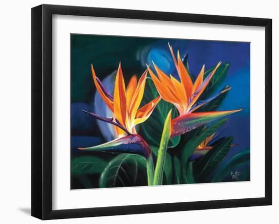 Birds of Feather-Scott Westmoreland-Framed Art Print