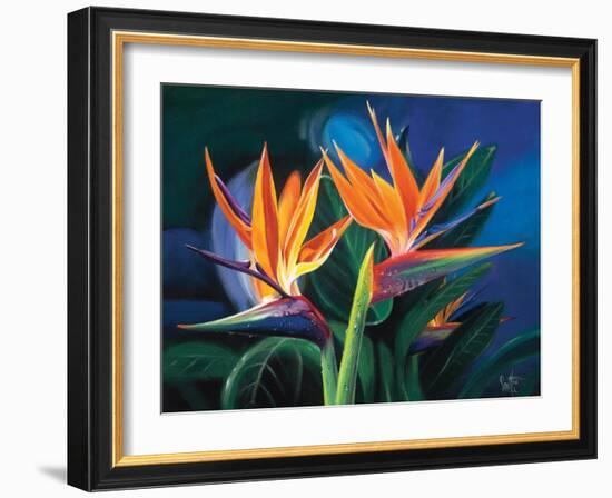 Birds of Feather-Scott Westmoreland-Framed Art Print