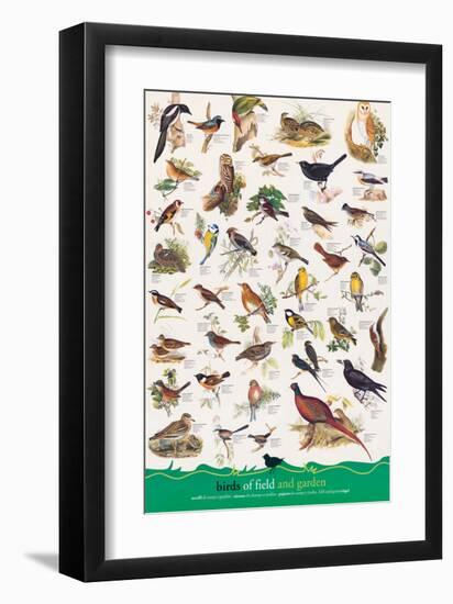 Birds of Fields and Gardens-null-Framed Art Print