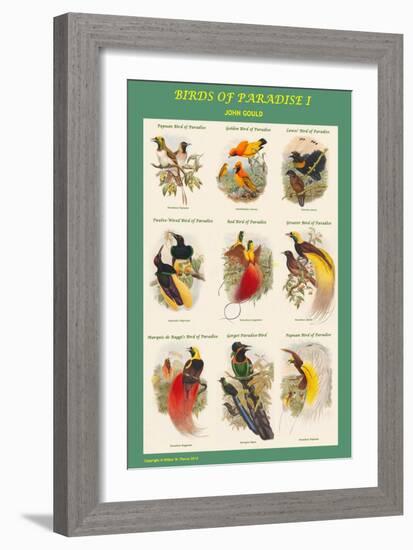 Birds of Paradise Composite I-John Gould-Framed Art Print