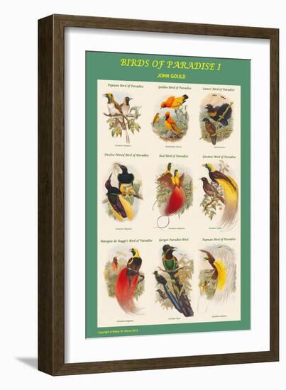 Birds of Paradise Composite I-John Gould-Framed Art Print