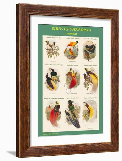 Birds of Paradise Composite I-John Gould-Framed Art Print