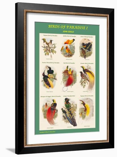 Birds of Paradise Composite I-John Gould-Framed Art Print