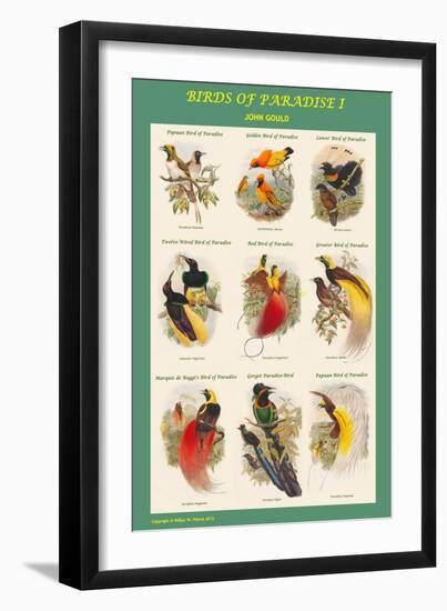 Birds of Paradise Composite I-John Gould-Framed Art Print