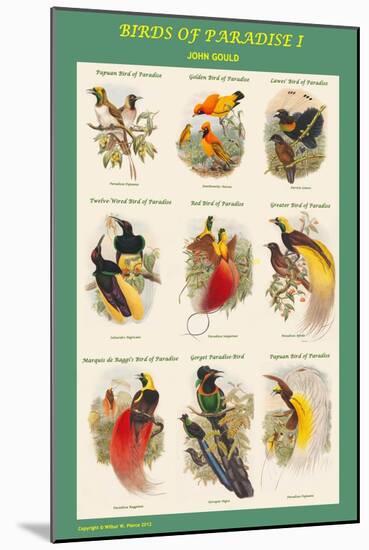 Birds of Paradise Composite I-John Gould-Mounted Art Print
