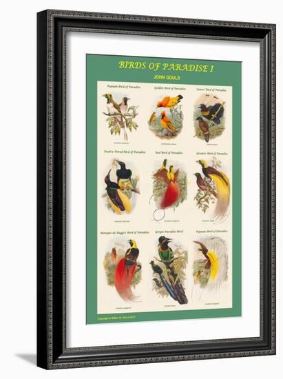 Birds of Paradise Composite I-John Gould-Framed Art Print