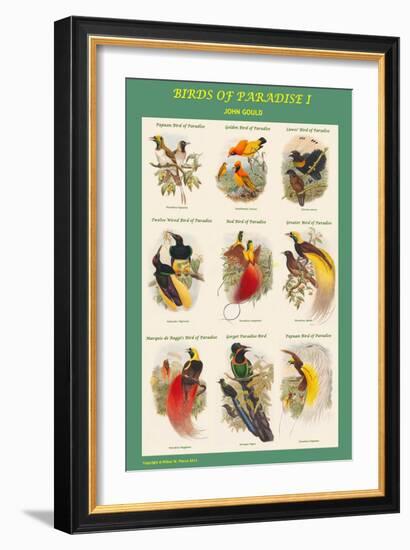 Birds of Paradise Composite I-John Gould-Framed Art Print