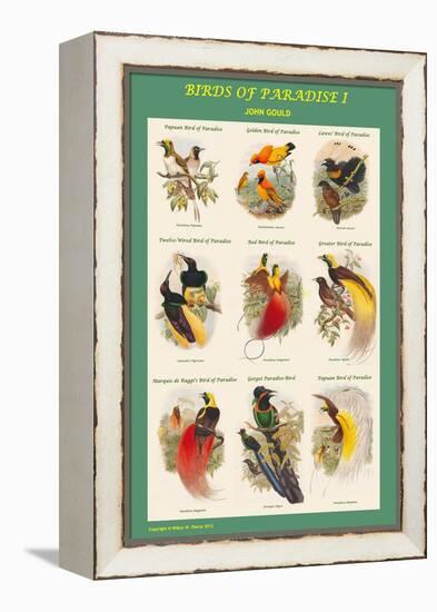 Birds of Paradise Composite I-John Gould-Framed Stretched Canvas