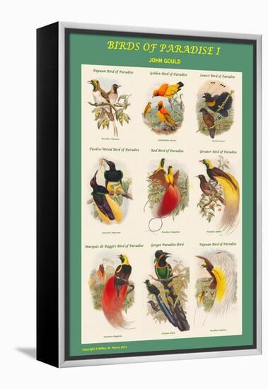 Birds of Paradise Composite I-John Gould-Framed Stretched Canvas