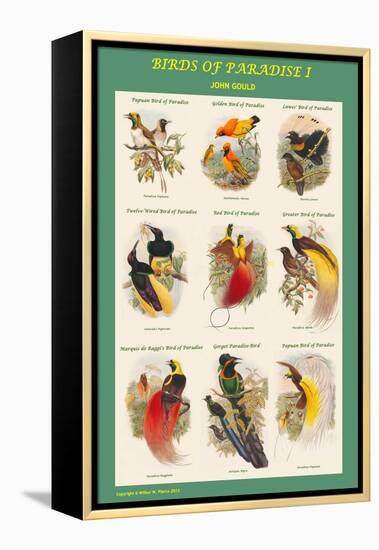 Birds of Paradise Composite I-John Gould-Framed Stretched Canvas