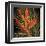 Birds of Paradise I-Yvette St^ Amant-Framed Giclee Print