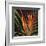 Birds of Paradise II-Yvette St^ Amant-Framed Giclee Print