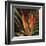 Birds of Paradise II-Yvette St^ Amant-Framed Giclee Print