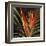 Birds of Paradise II-Yvette St^ Amant-Framed Giclee Print