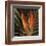 Birds of Paradise II-Yvette St^ Amant-Framed Giclee Print