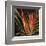 Birds of Paradise II-Yvette St^ Amant-Framed Giclee Print