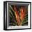 Birds of Paradise II-Yvette St^ Amant-Framed Giclee Print