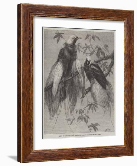 Birds of Paradise in the Zoological Society's Gardens, Regent's Park-Friedrich Wilhelm Keyl-Framed Giclee Print