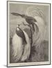 Birds of Paradise in the Zoological Society's Gardens-null-Mounted Giclee Print