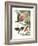 Birds of Paradise-English School-Framed Giclee Print