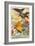 Birds of Paradise-null-Framed Art Print