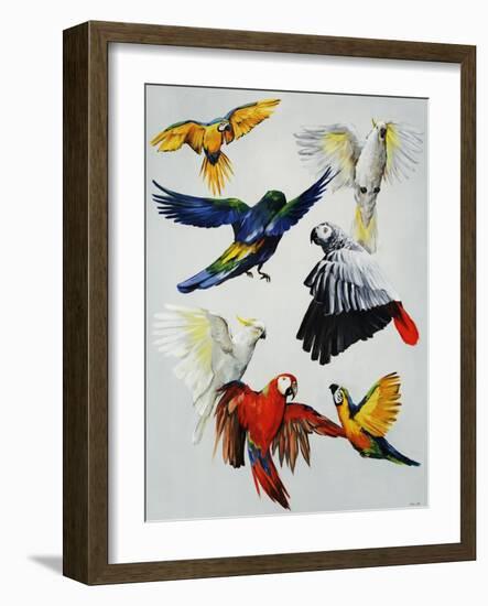 Birds of Paradise-Sydney Edmunds-Framed Giclee Print