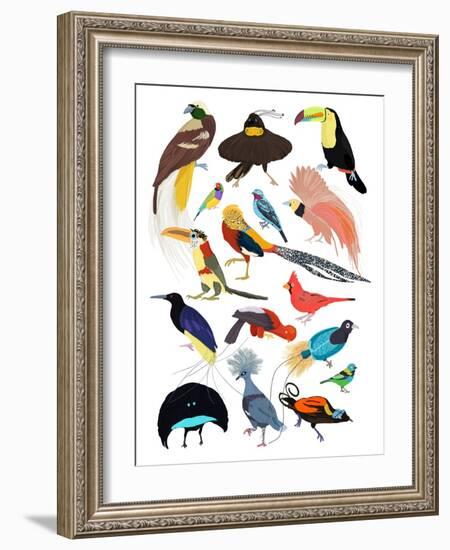 Birds of Paradise-Hanna Melin-Framed Giclee Print