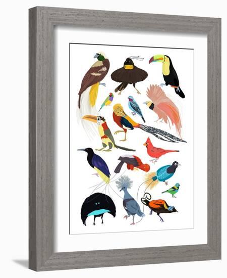 Birds of Paradise-Hanna Melin-Framed Giclee Print