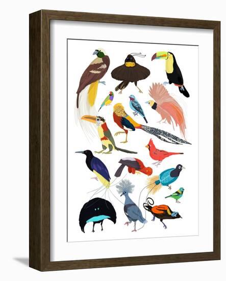 Birds of Paradise-Hanna Melin-Framed Giclee Print