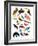 Birds of Paradise-Hanna Melin-Framed Giclee Print