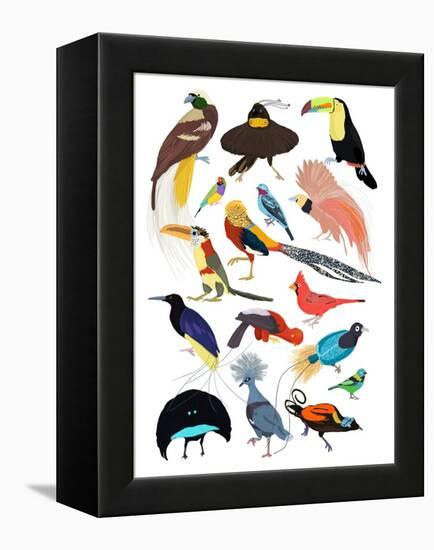 Birds of Paradise-Hanna Melin-Framed Premier Image Canvas