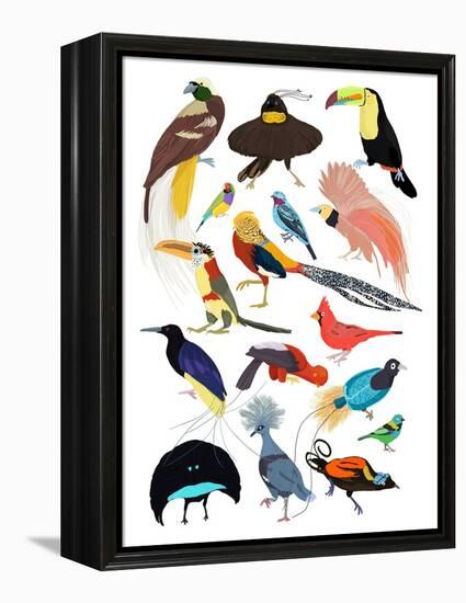 Birds of Paradise-Hanna Melin-Framed Premier Image Canvas