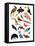 Birds of Paradise-Hanna Melin-Framed Premier Image Canvas