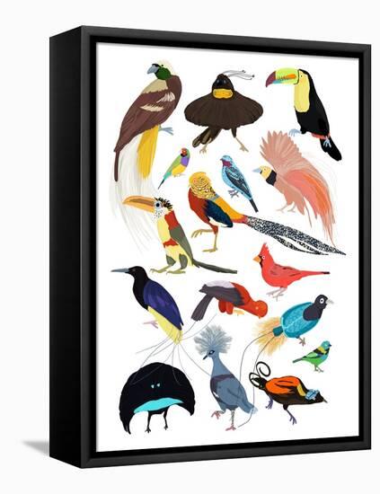 Birds of Paradise-Hanna Melin-Framed Premier Image Canvas