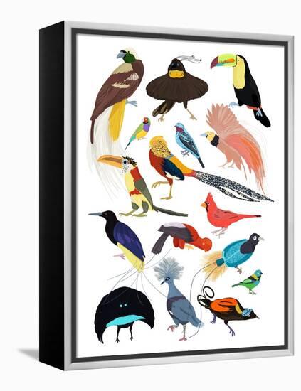 Birds of Paradise-Hanna Melin-Framed Premier Image Canvas