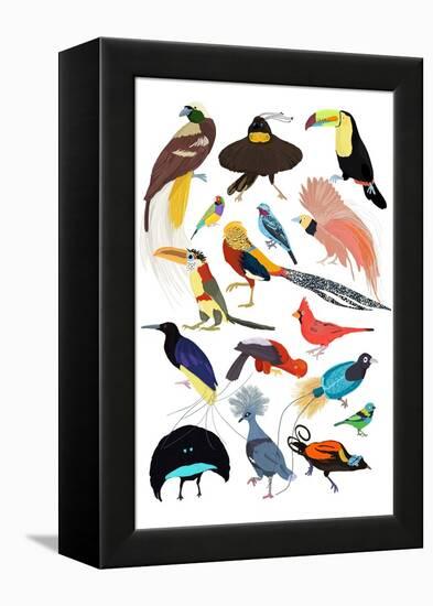 Birds of Paradise-Hanna Melin-Framed Stretched Canvas