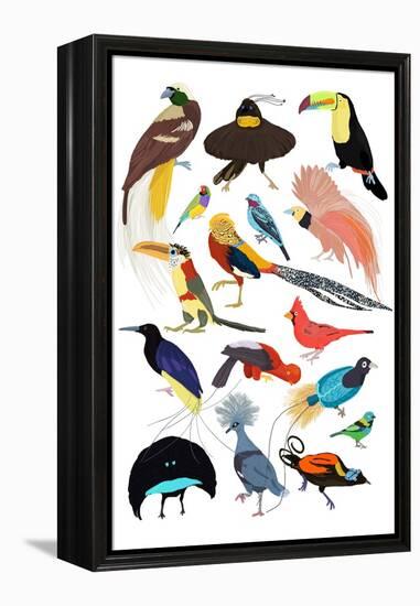 Birds of Paradise-Hanna Melin-Framed Stretched Canvas