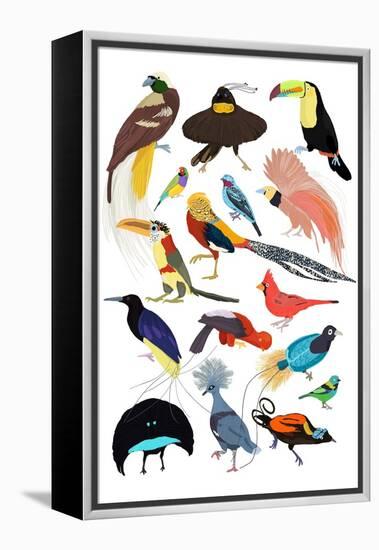 Birds of Paradise-Hanna Melin-Framed Stretched Canvas