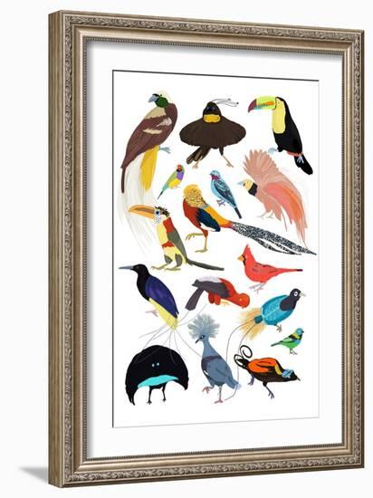 Birds of Paradise-Hanna Melin-Framed Art Print