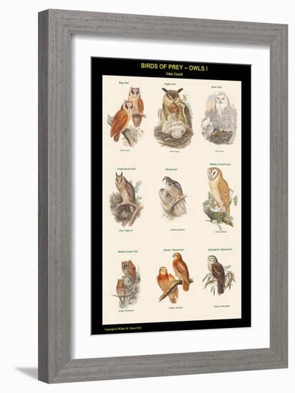 Birds of Prey - Owls - I-John Gould-Framed Art Print