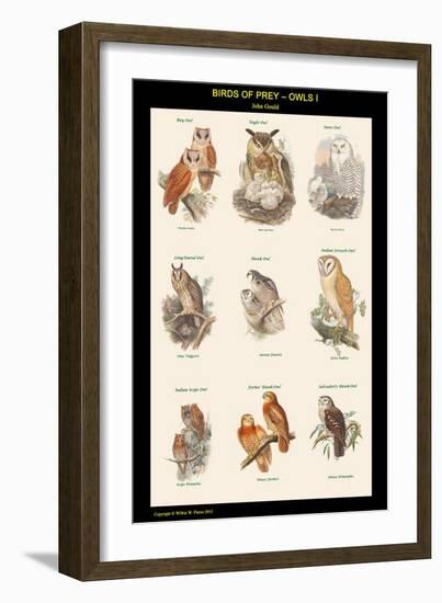 Birds of Prey - Owls - I-John Gould-Framed Art Print