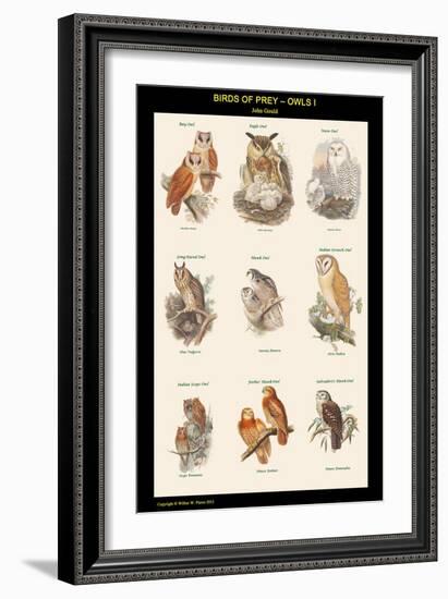 Birds of Prey - Owls - I-John Gould-Framed Art Print