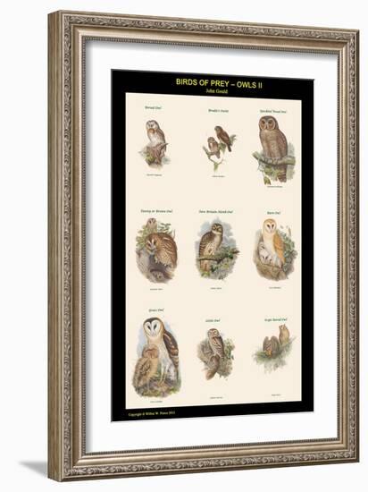 Birds of Prey - Owls - II-John Gould-Framed Art Print