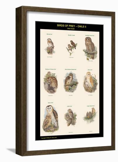 Birds of Prey - Owls - II-John Gould-Framed Art Print