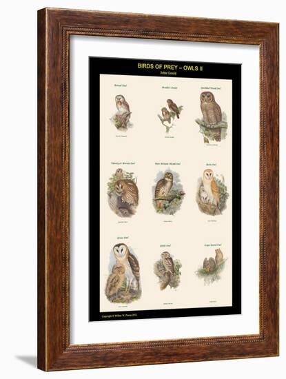 Birds of Prey - Owls - II-John Gould-Framed Art Print